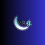 msl container tracking logo